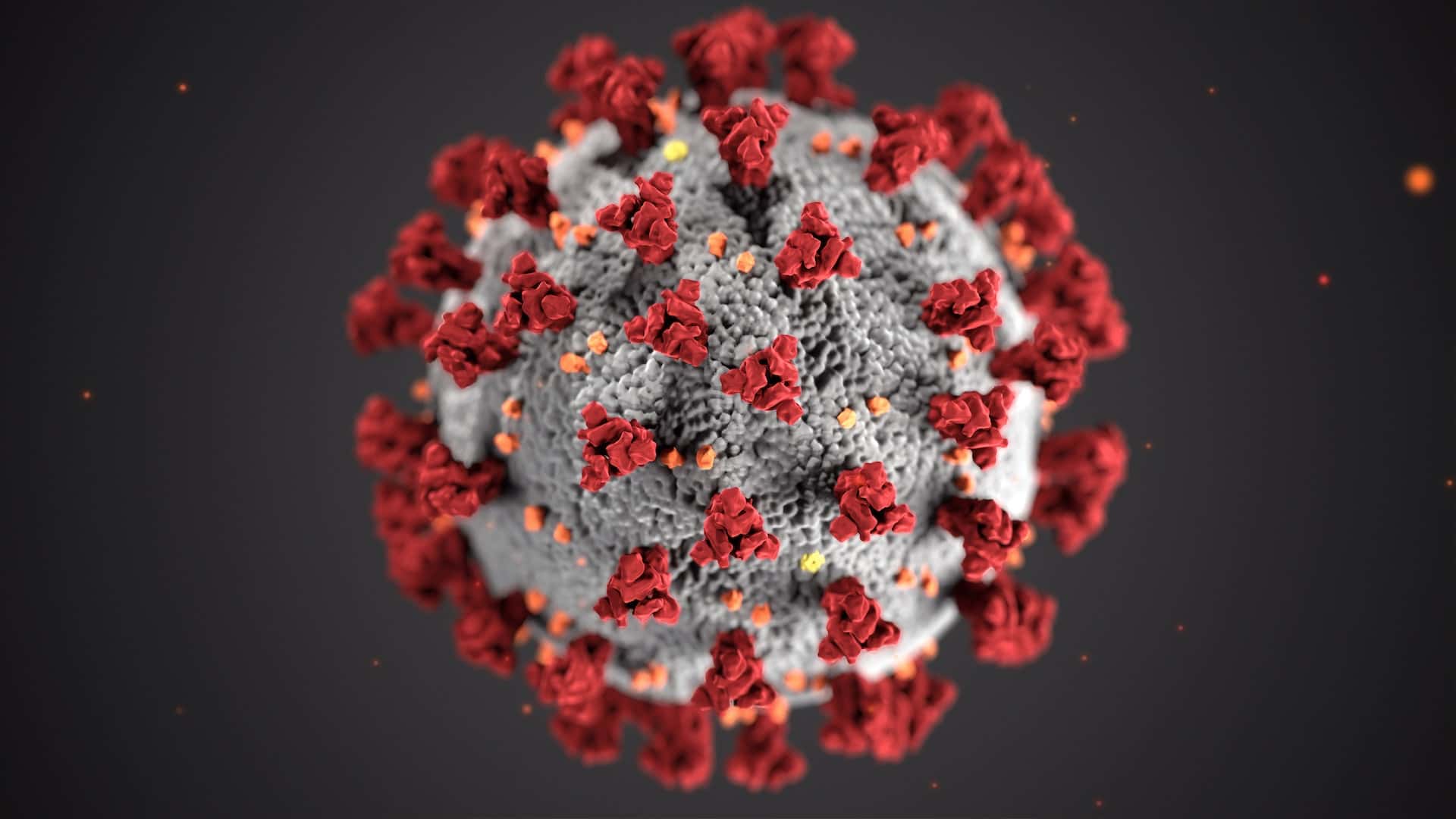 Illustration-by-the-cdc-of-the-Coronavirus-disease-2019-COVID-19